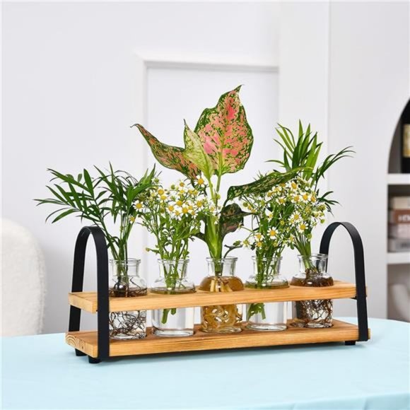 Plant Propagation Stations with Wood Stand - Picture 7 of 8